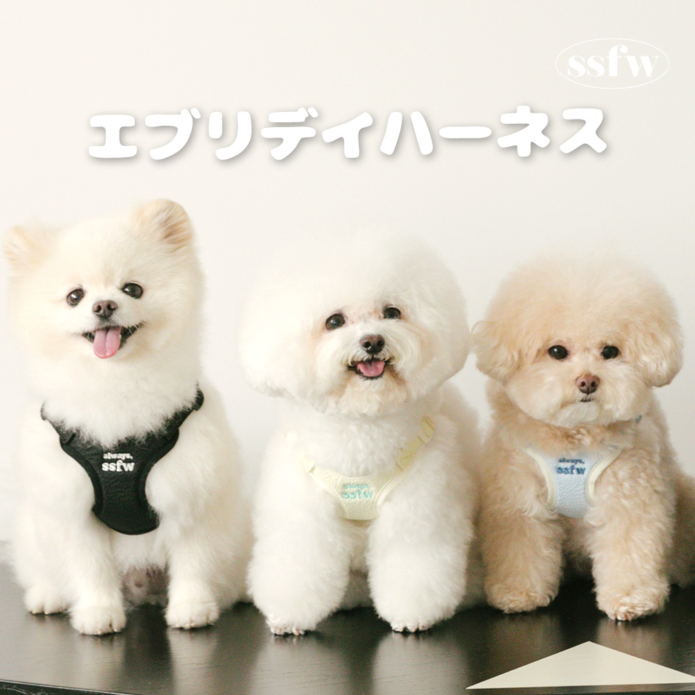 お出かけ・お散歩用品 snm 散歩用品 | ペット用の食品・用品・衣類